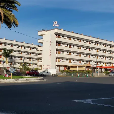 Aparthotel Vivienda Vacacional - Las Camelias Playa del Inglés